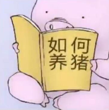 纯白帽打造快速收录站点